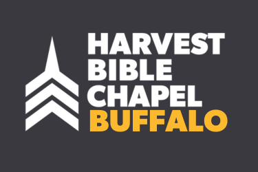 Harvest Buffalo