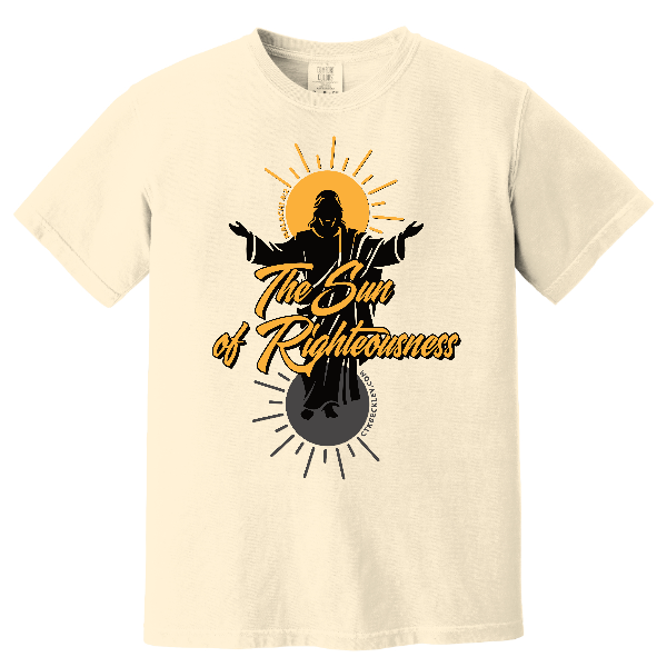 Comfort Colors Heavyweight Tee