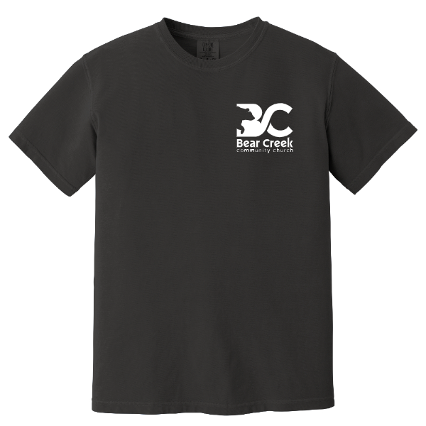 Comfort Colors Heavyweight Tee