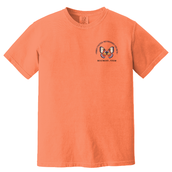 Salt & Light Comfort Colors Heavyweight Tee