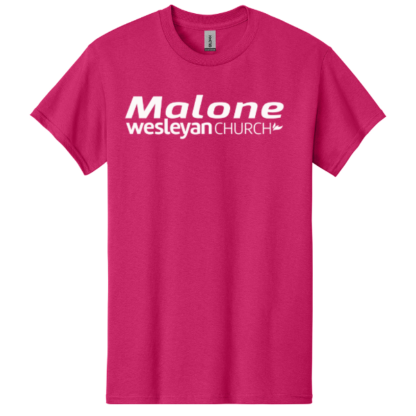 Gildan Ladies Heavy Cotton T-Shirt