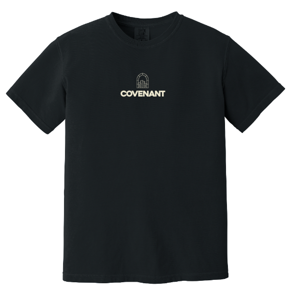 Comfort Colors Heavyweight Tee