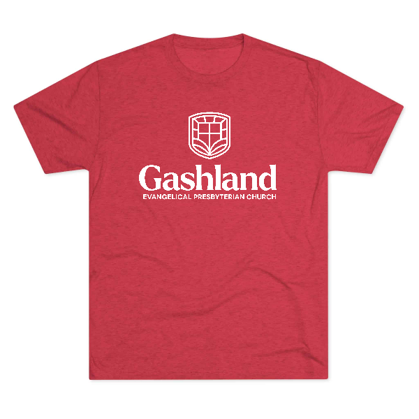 Next Level Unisex Tri-Blend Tee