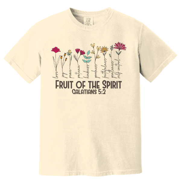 Fruit of the Spirit Comfort Colors Tee