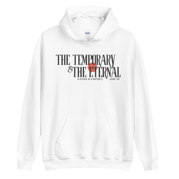 The Temporary and The Eternal Series Theme Heavy Hoodie