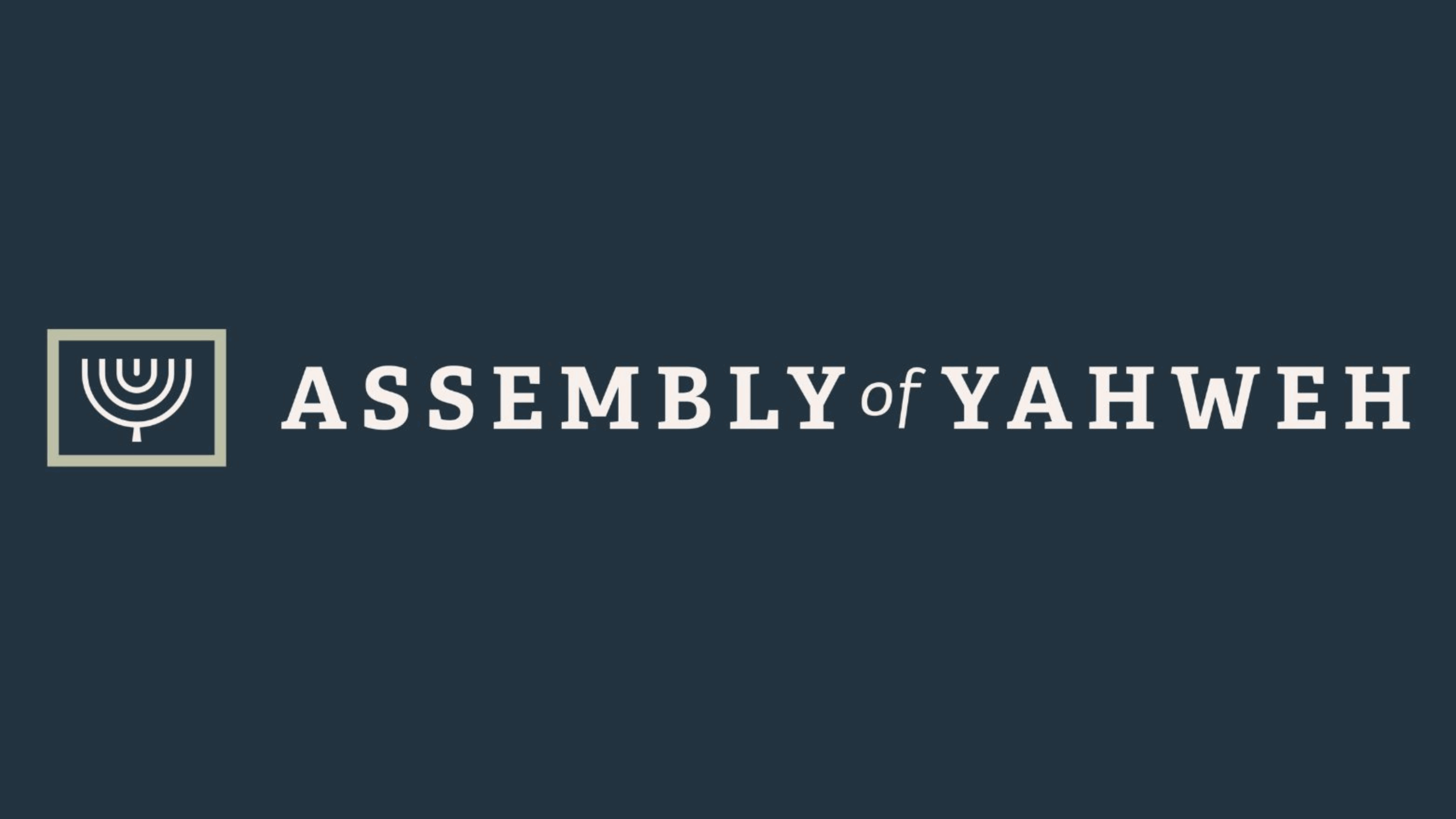 AOY Merch