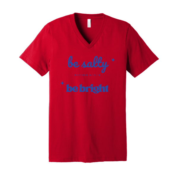 Be Salt and Light- Bella Canvas V neck T-shirt