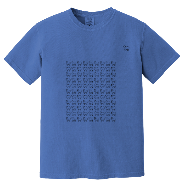 Finally Found- Comfort colors t-shirt
