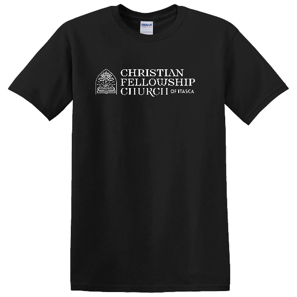 Gildan Ladies Heavy Cotton T-Shirt