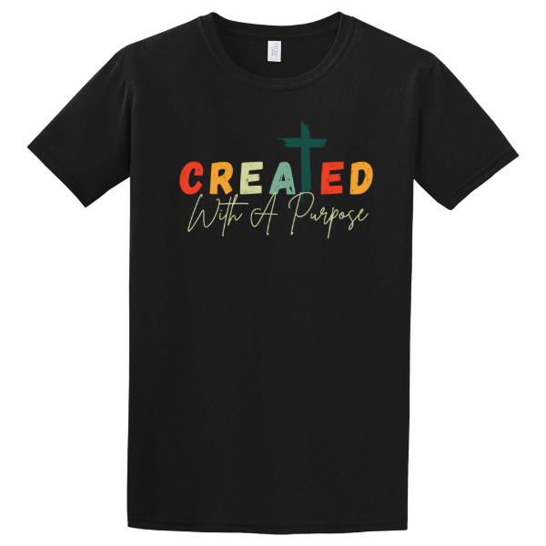 Gildan Softstyle T-Shirt