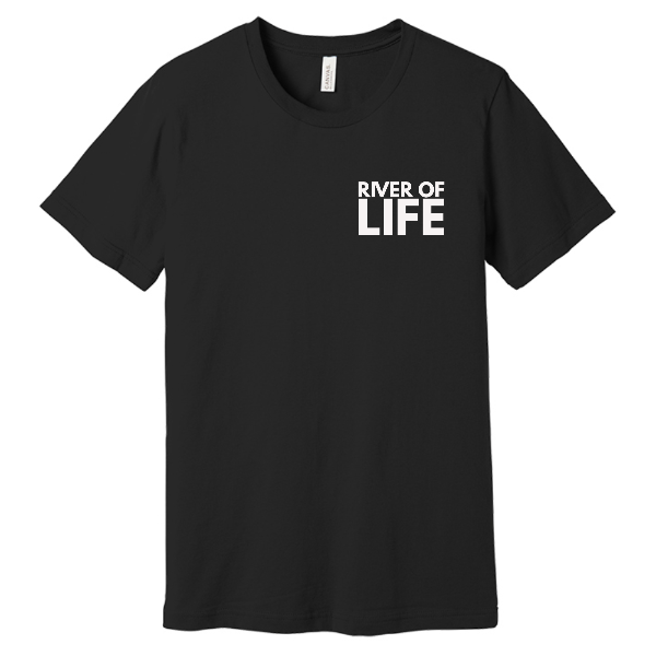 Bella Canvas Unisex Jersey Short Sleeve Tee