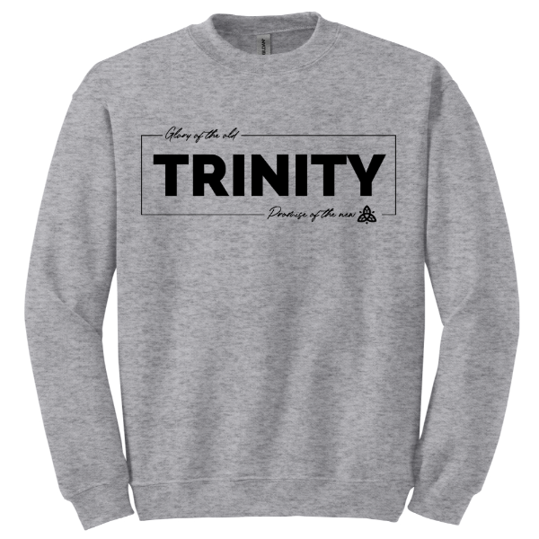 Gildan Heavy Blend Crewneck Sweatshirt
