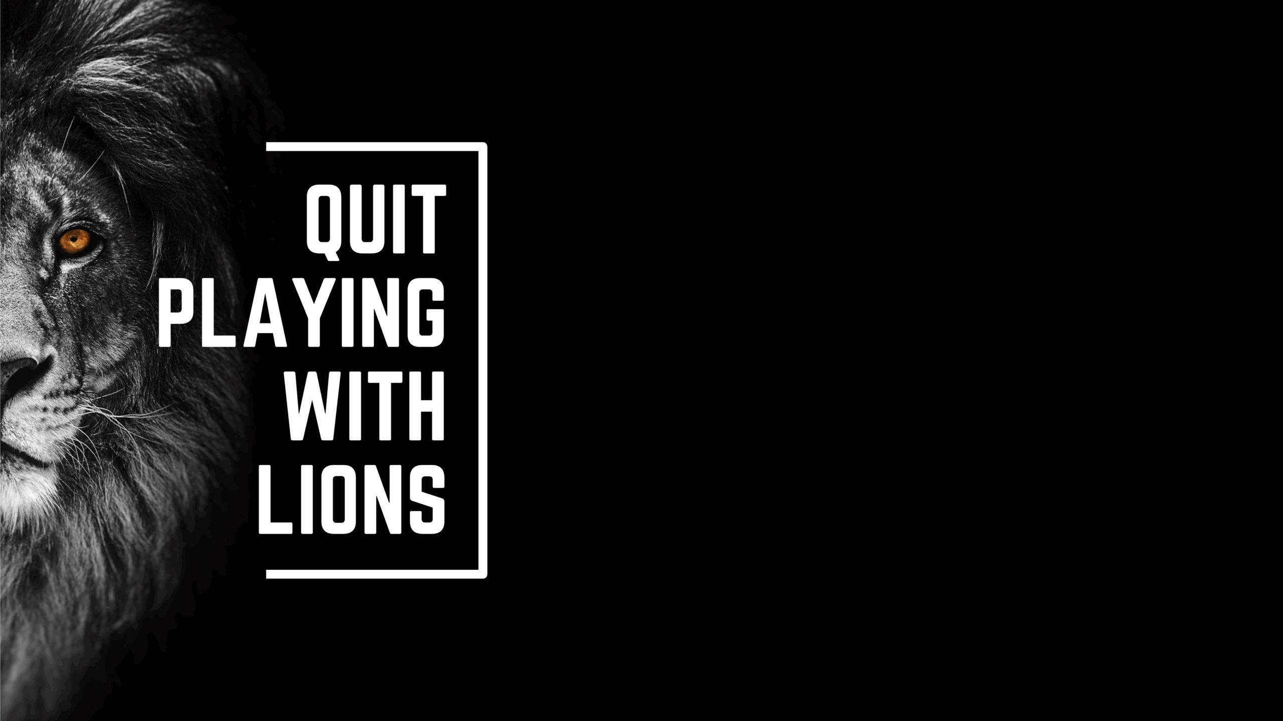 quitplayingwithlions quitplayingwithlions