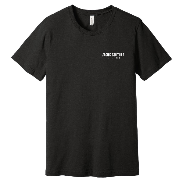 Bella Canvas P3 Shirt