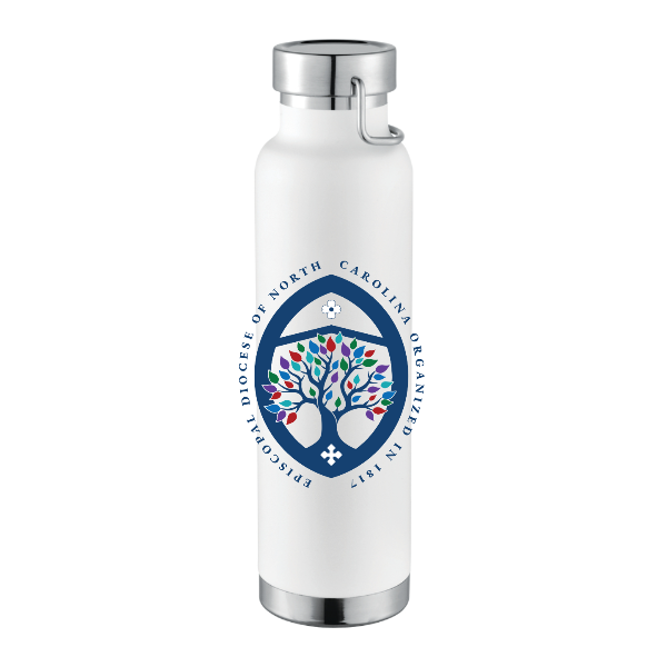 Copper Vacuum Insulated Bottle 22oz