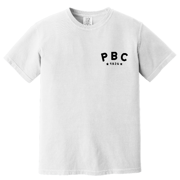 "Give It Some Gusto" - Comfort Colors Tee
