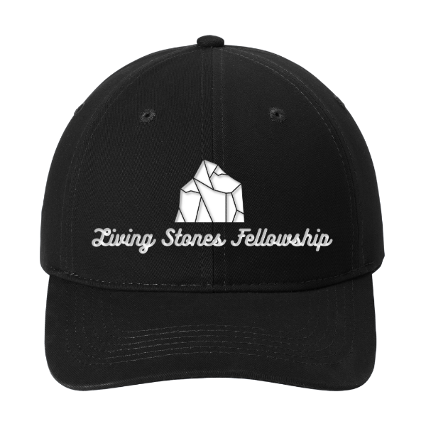 Dad Hat - Port Authority Brushed Twill Low Profile Cap