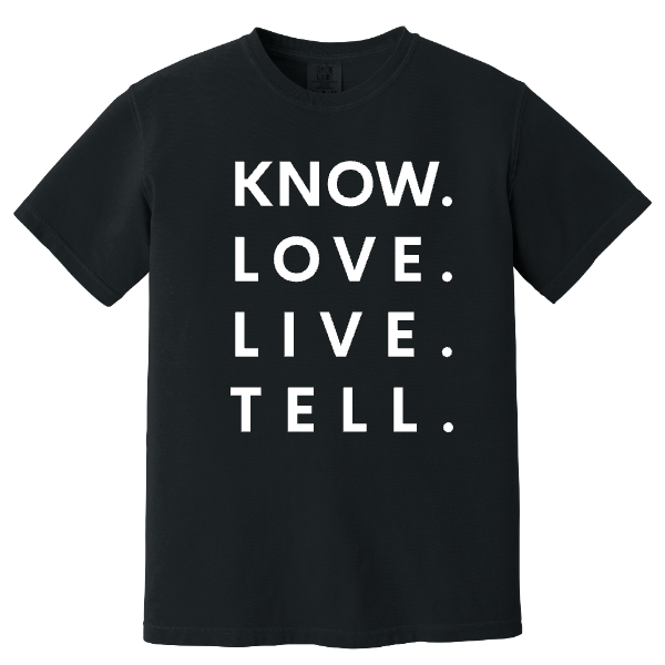 Comfort Colors Heavyweight Ring Spun Tee