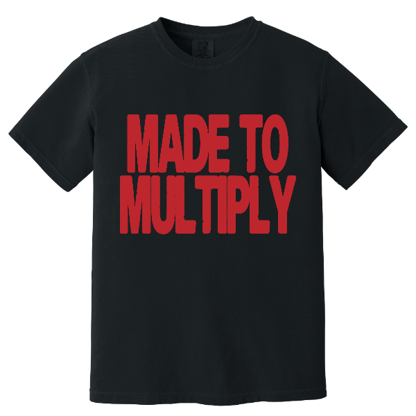MADE TO MULTIPLY | Comfort Colors Heavyweight Ring Spun Tee