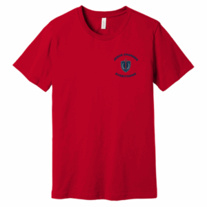 Bella Canvas Unisex Jersey Short Sleeve Tee